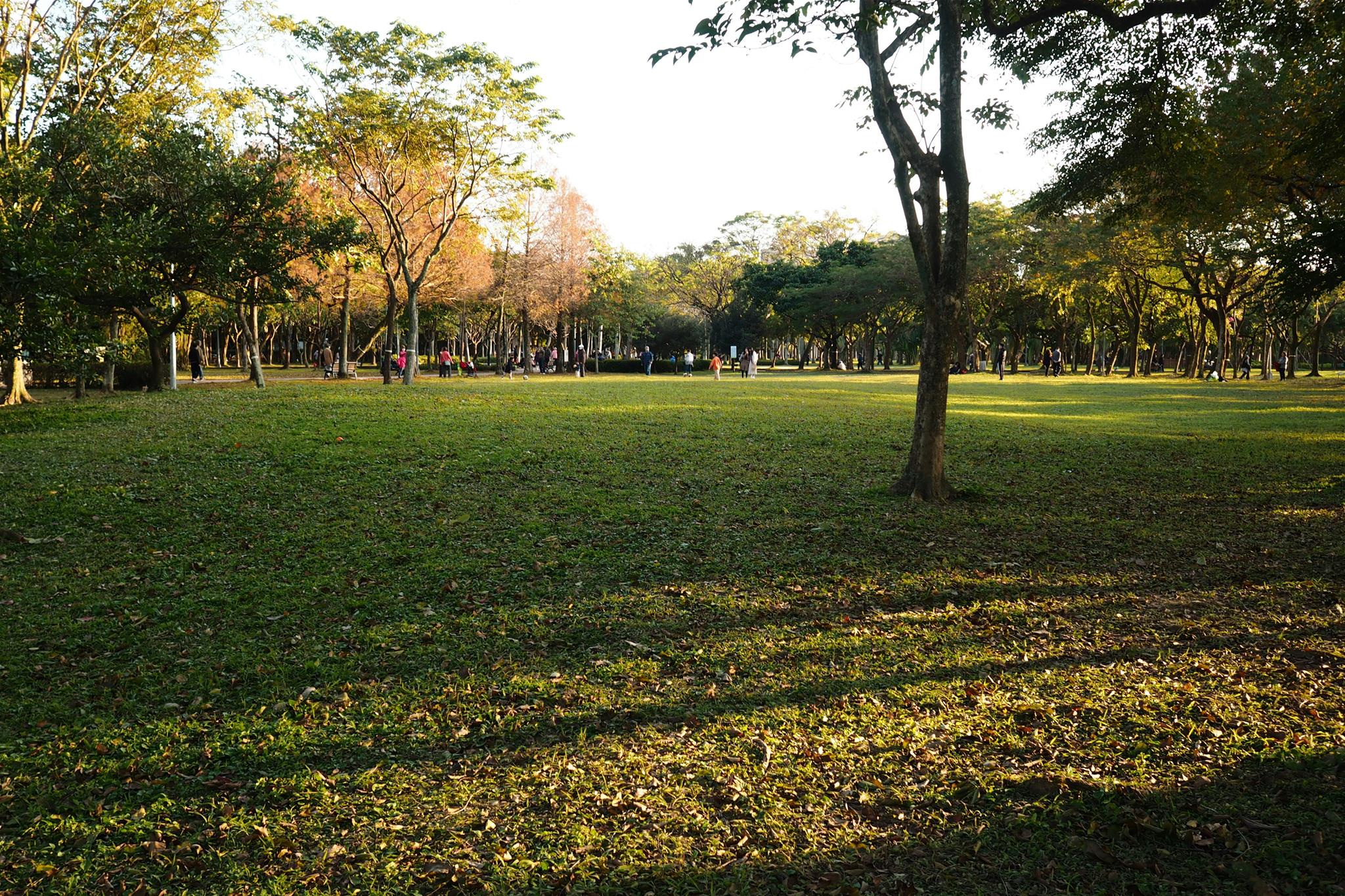 Parkfest
